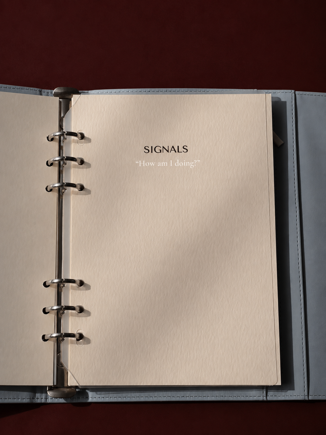 Limited Edition Journal